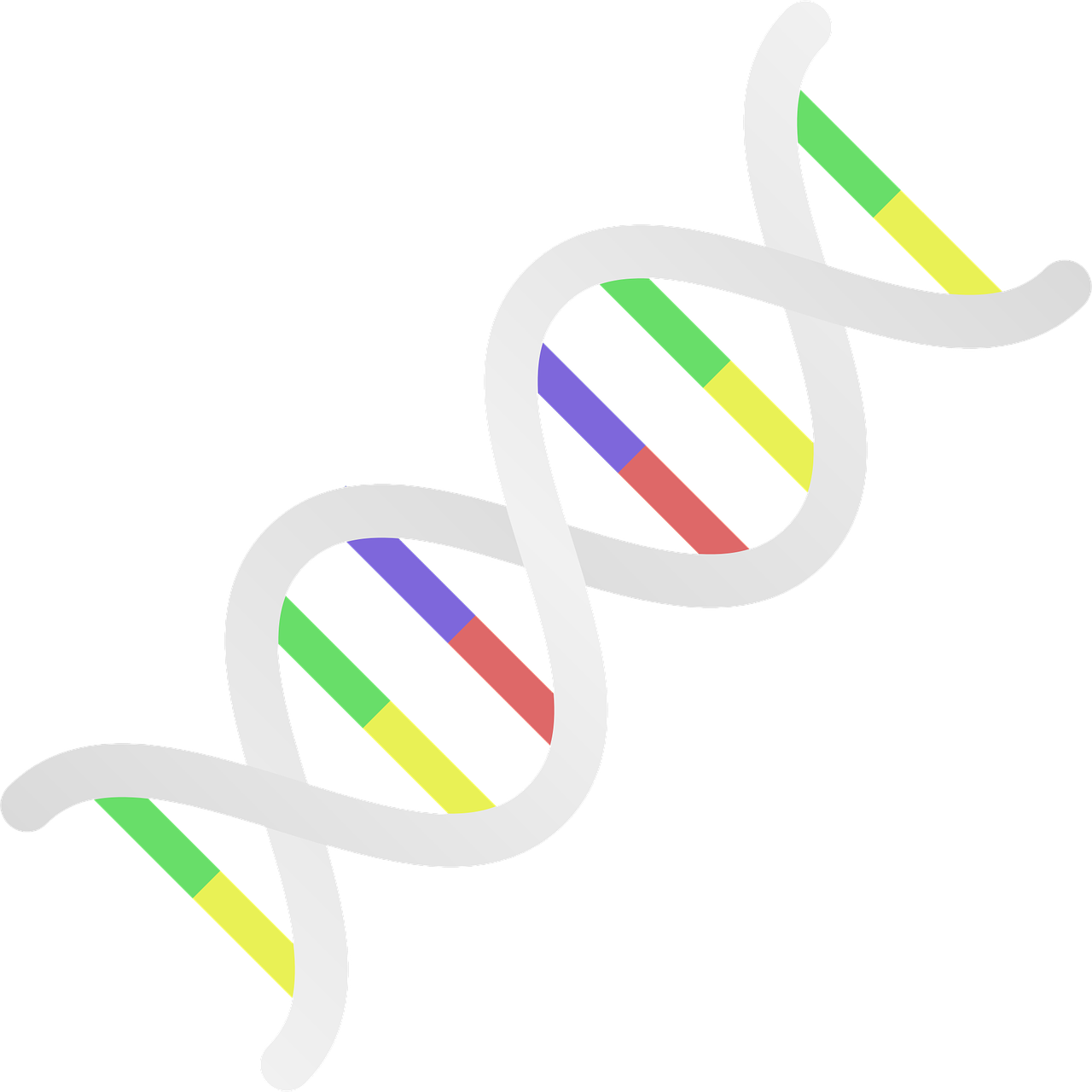 Genome Projects